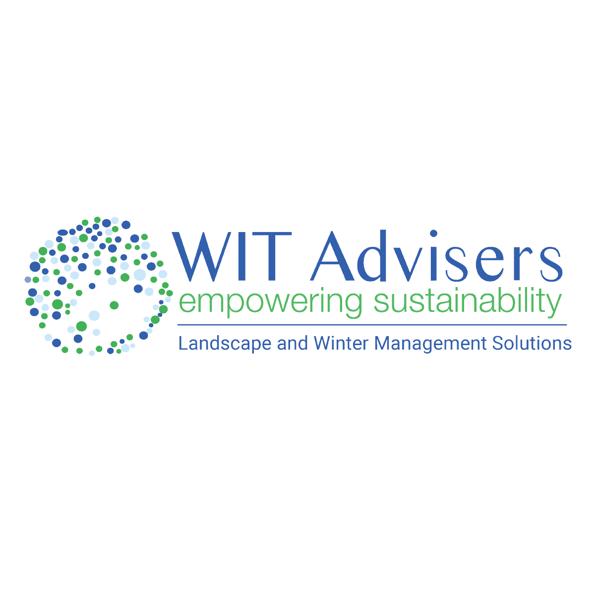 WIT Advisers logo