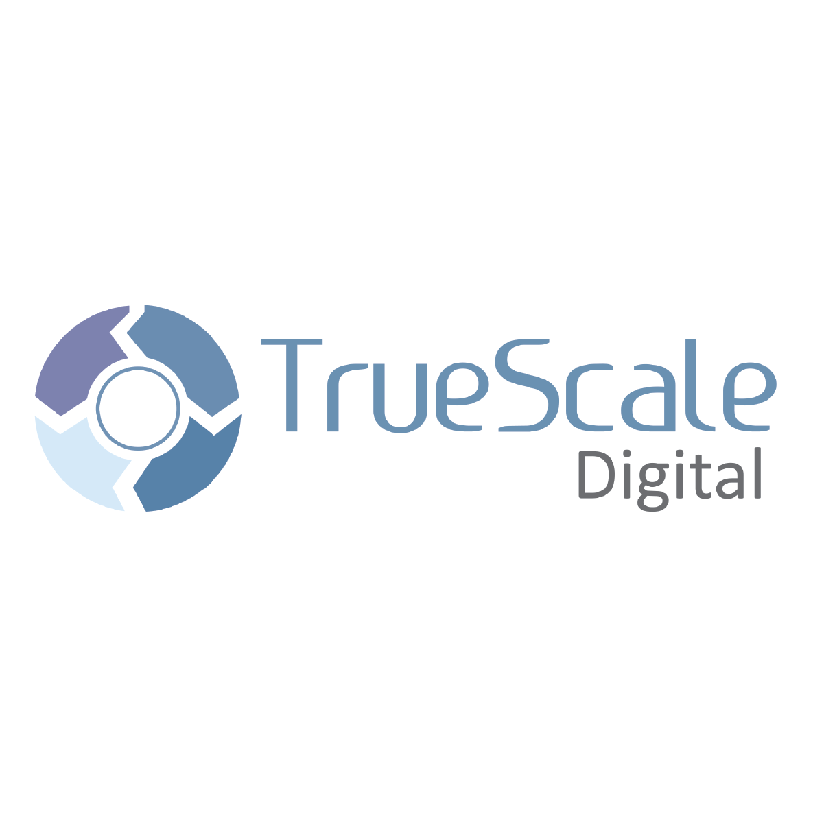 TrueScale Digital Logo