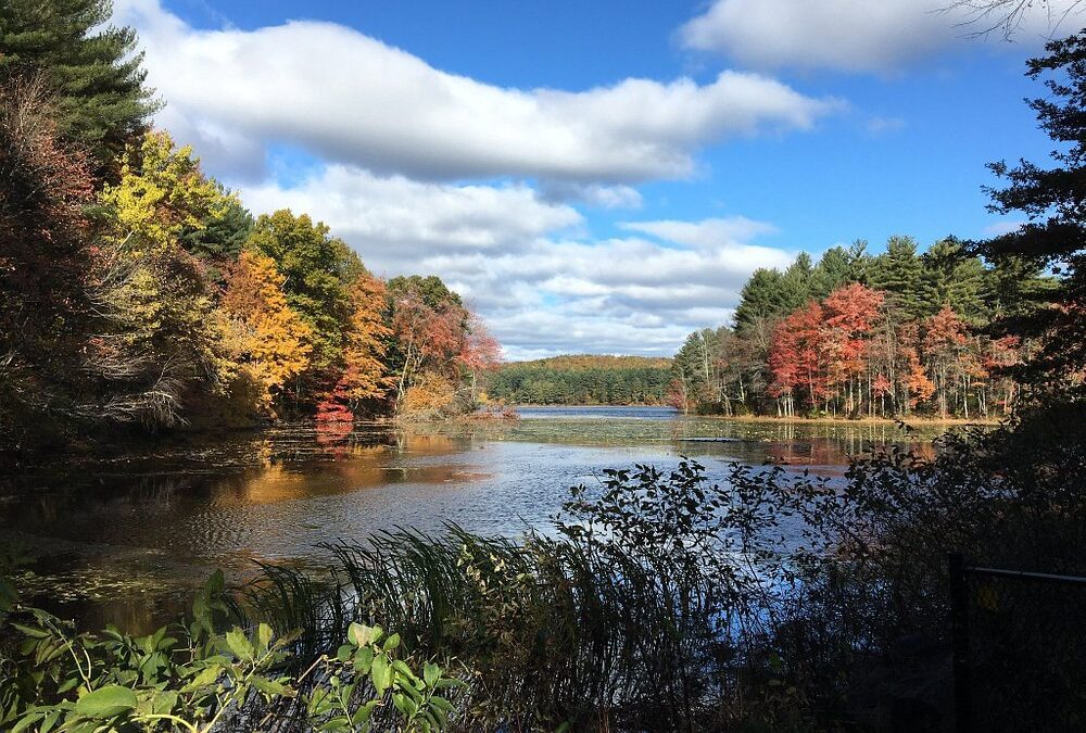 10 Fun and Unique Things to Do in Holyoke MA
