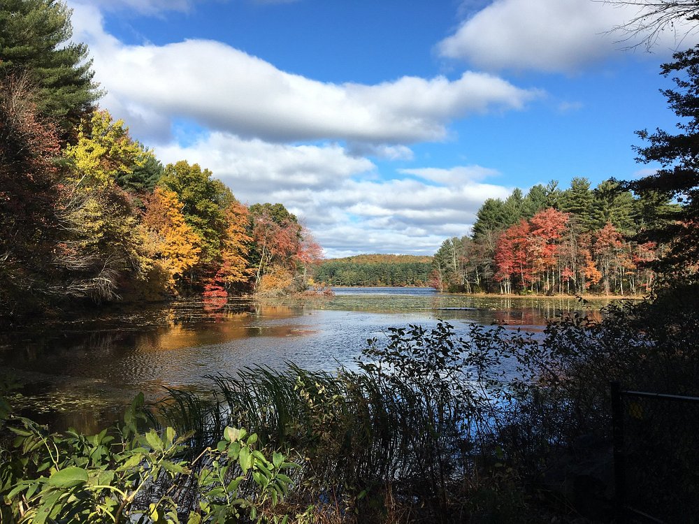things to do in holyoke ma